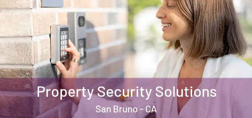  Property Security Solutions San Bruno - CA
